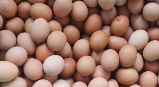 Comment conserver les oeufs d'oie ? (Celebrity Exclusive)