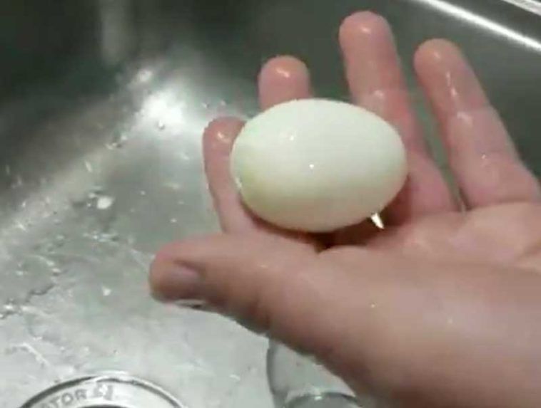 Comment éplucher un œuf mollet sans l'abîmer ? (Celebrity Exclusive)