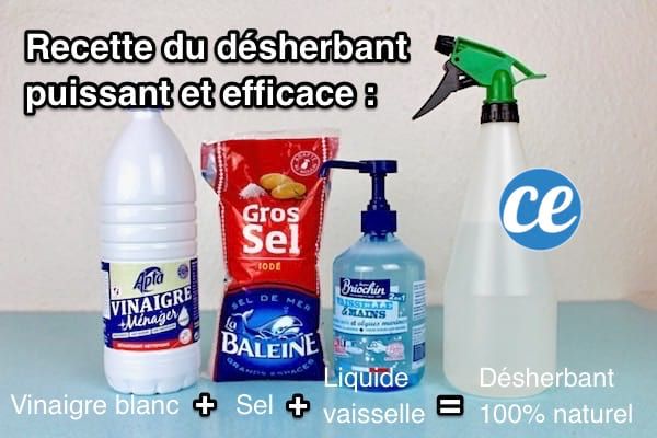 Comment faire du désherbant avec du vinaigre blanc et liquide vaisselle ? (Celebrity Exclusive)