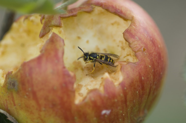 Comment faire pour se débarrasser de la timidité ? (Celebrity Exclusive)