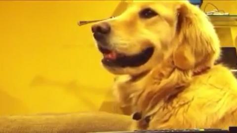 Quand Est-ce que Diam's à arrête la musique ? (Celebrity Exclusive)