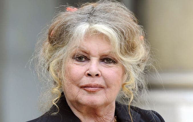 Quel âge a le fils de Brigitte Bardot Nicolas ? (Celebrity Exclusive)