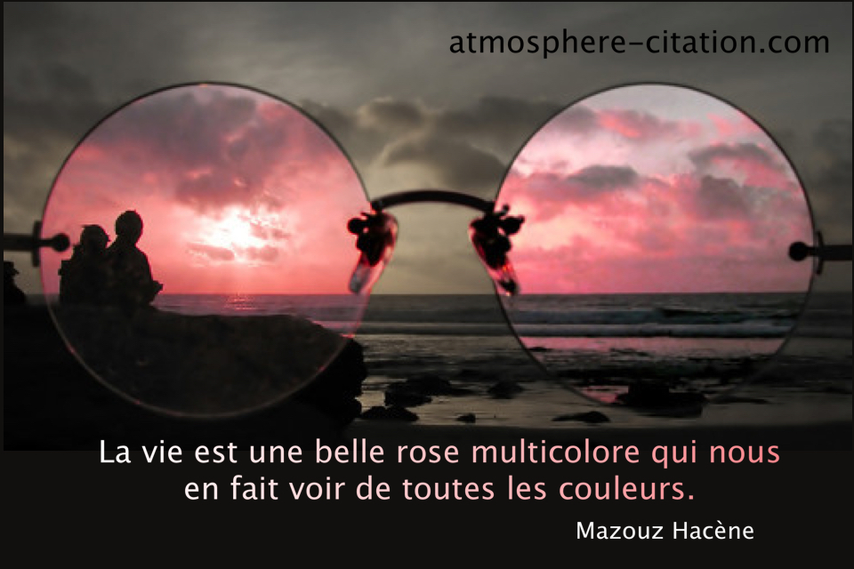 Quel Est La Plus Belle Phrase