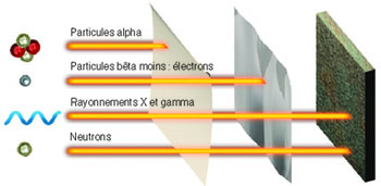 Quel est le niveau d'étude de Alpha Blondy ? (Celebrity Exclusive)