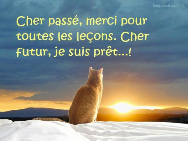 Quel est le proverbe du jour ? (Celebrity Exclusive)