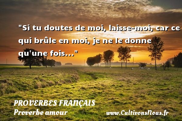 Quel sont les proverbes en français ? (Celebrity Exclusive)