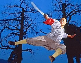 Qui est le plus grand maitre de Kung Fu ? (Celebrity Exclusive)