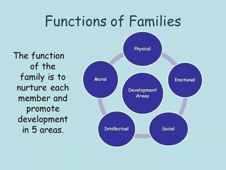 what-are-the-7-functions-of-a-family