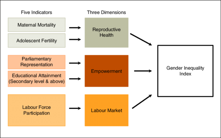 what-are-the-main-causes-of-gender-inequality