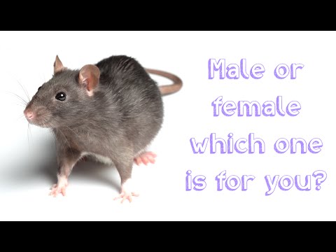 What names can be male or female? (Celebrity Exclusive)