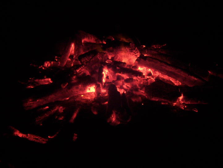 Which names are dying out? (Celebrity Exclusive)