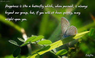 Who said Happiness is like a butterfly which when pursued is always beyond our grasp but if you will sit down quietly may alight upon you? (Celebrity Exclusive)