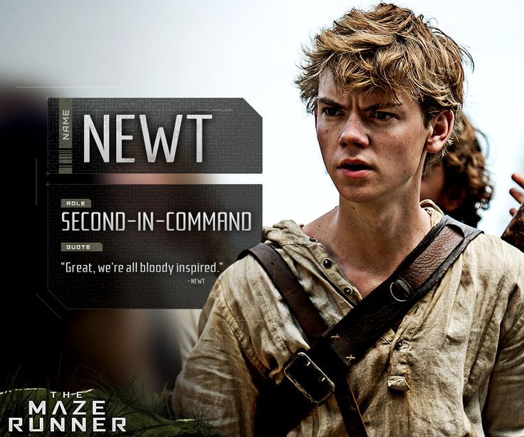 Why is Newt British maze runner? (Celebrity Exclusive)