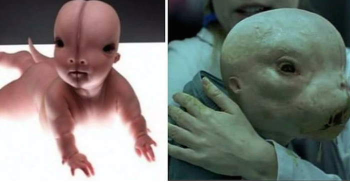 Are the Xandarians human?