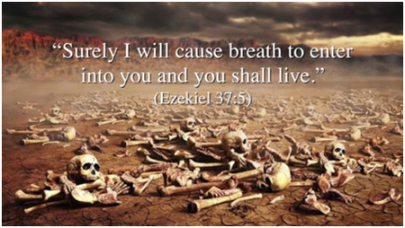 Can Vision come back to life?