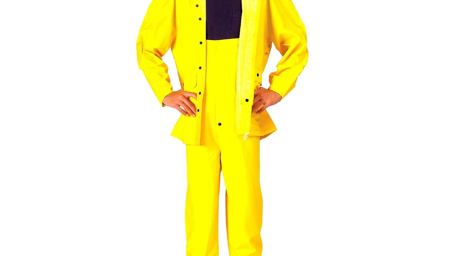 Can a yellow jacket sting through a Tyvek suit? Celebrity.tn N°1