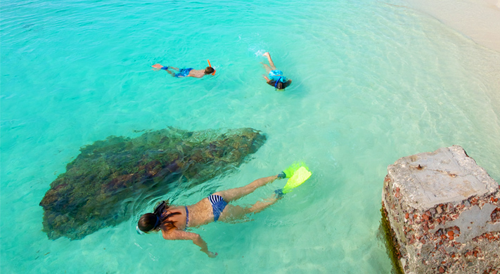 Can you snorkel off the beach in Key West?