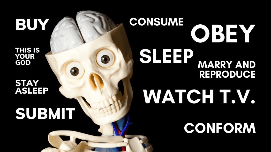 Do Bucky's trigger words still work?