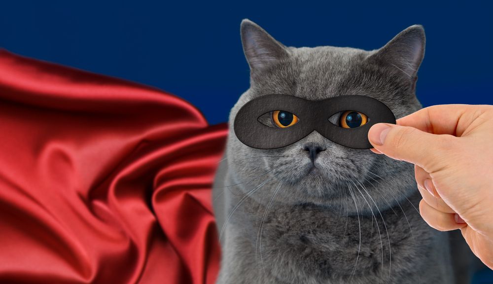 Do cats have super powers?
