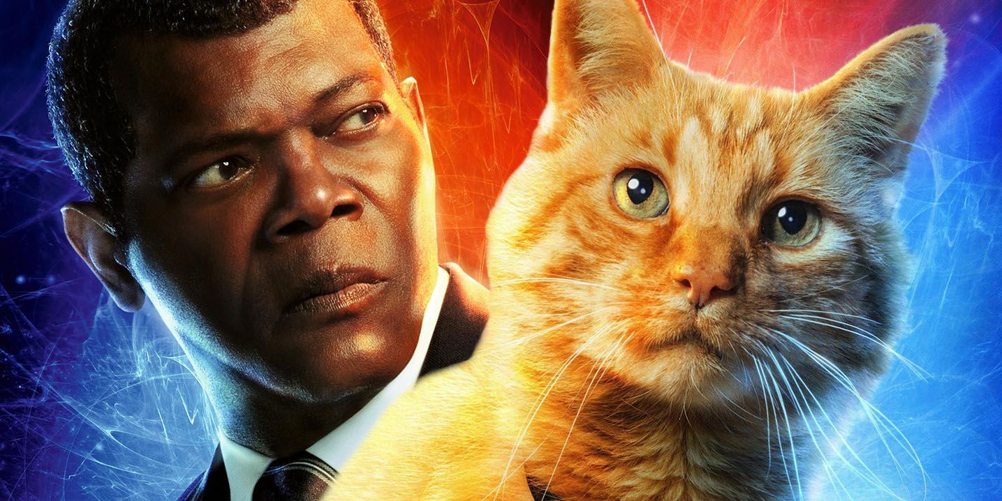 Does Nick Fury keep Goose?