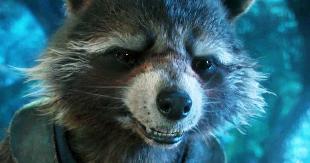 Does Rocket ever meet a raccoon?