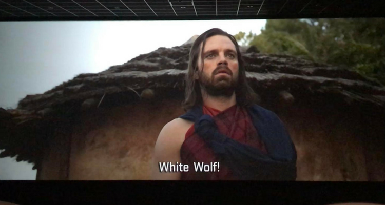 How did Bucky get to Wakanda?