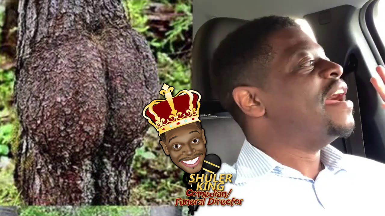 How did Kang get alioth?