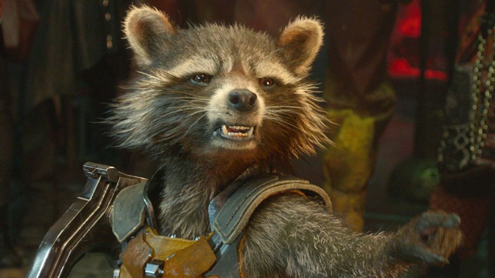 How did Rocket Raccoon become a raccoon?
