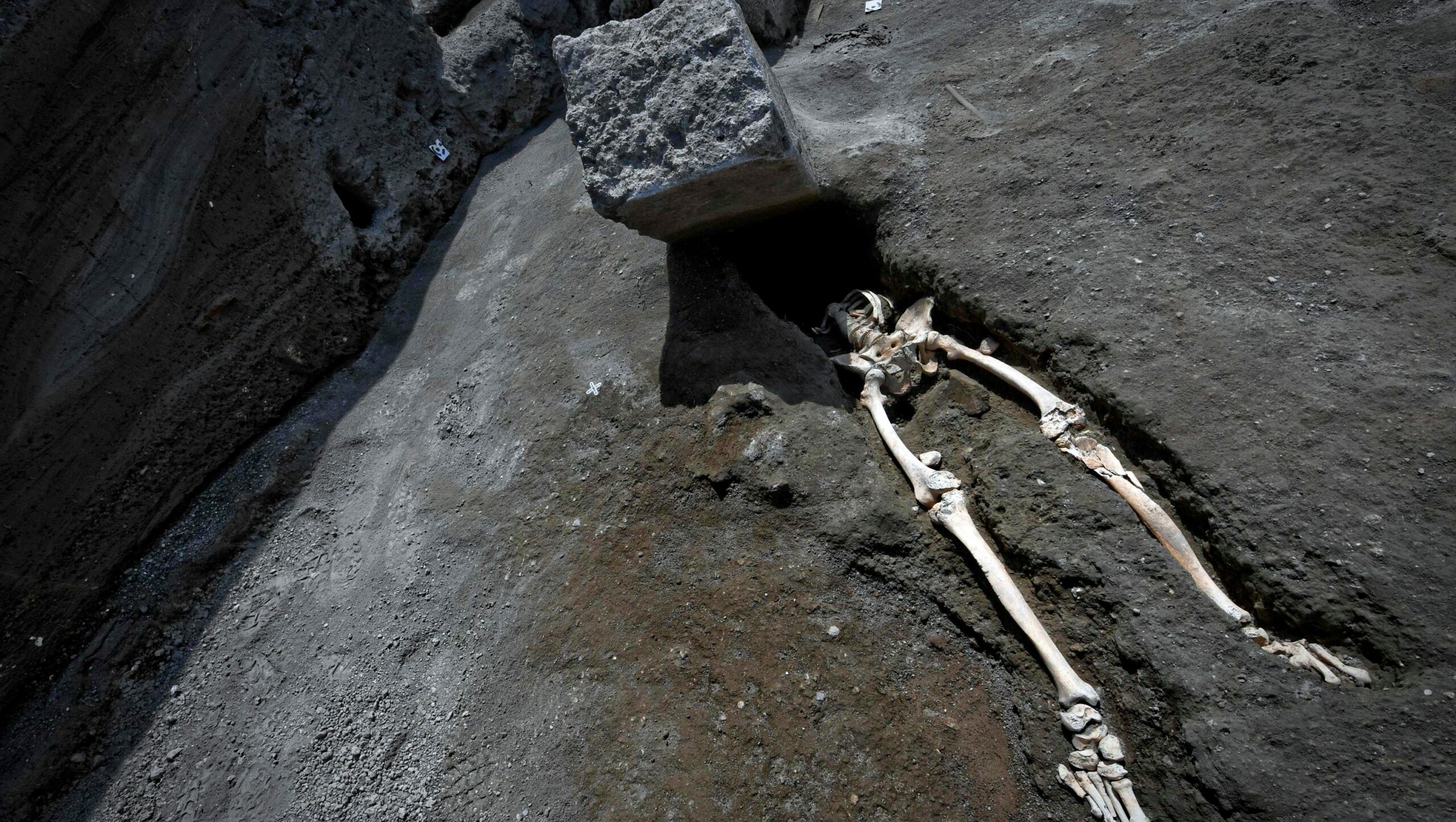 How many bodies were recovered from Pompeii?
