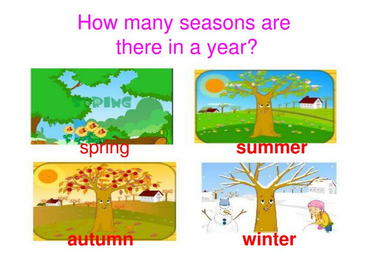 How many seasons are there in What If?