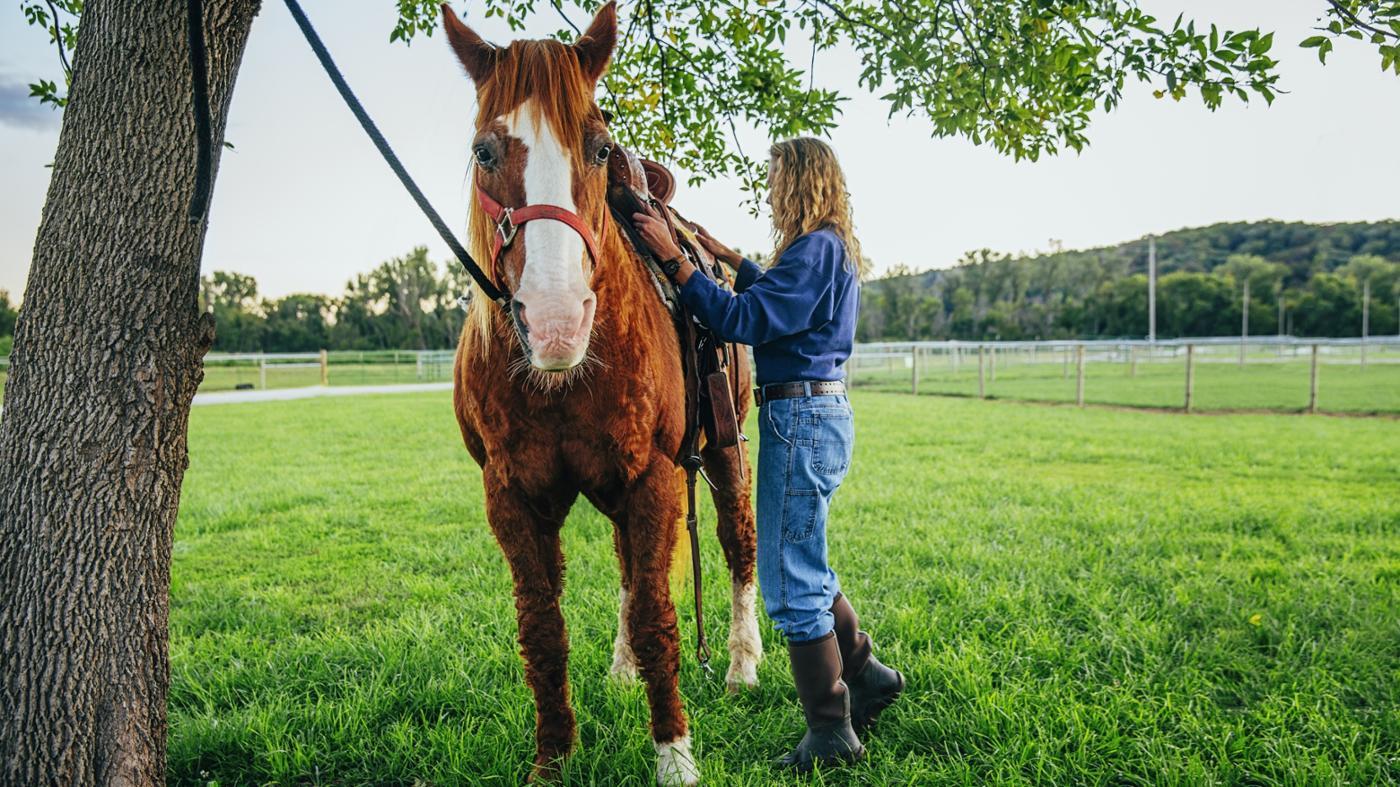 How much does Quinjet cost?