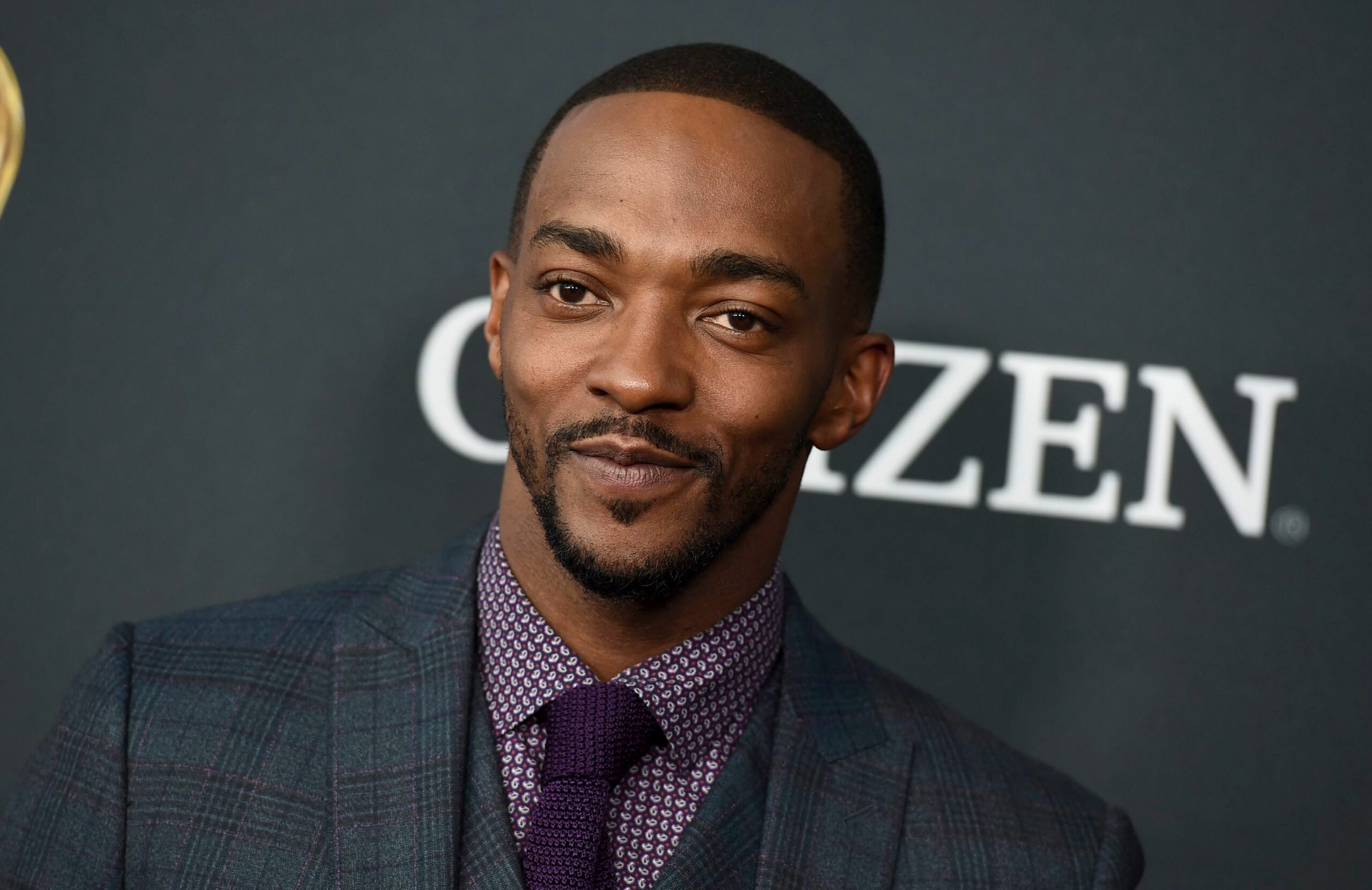 How much is Anthony Mackie?