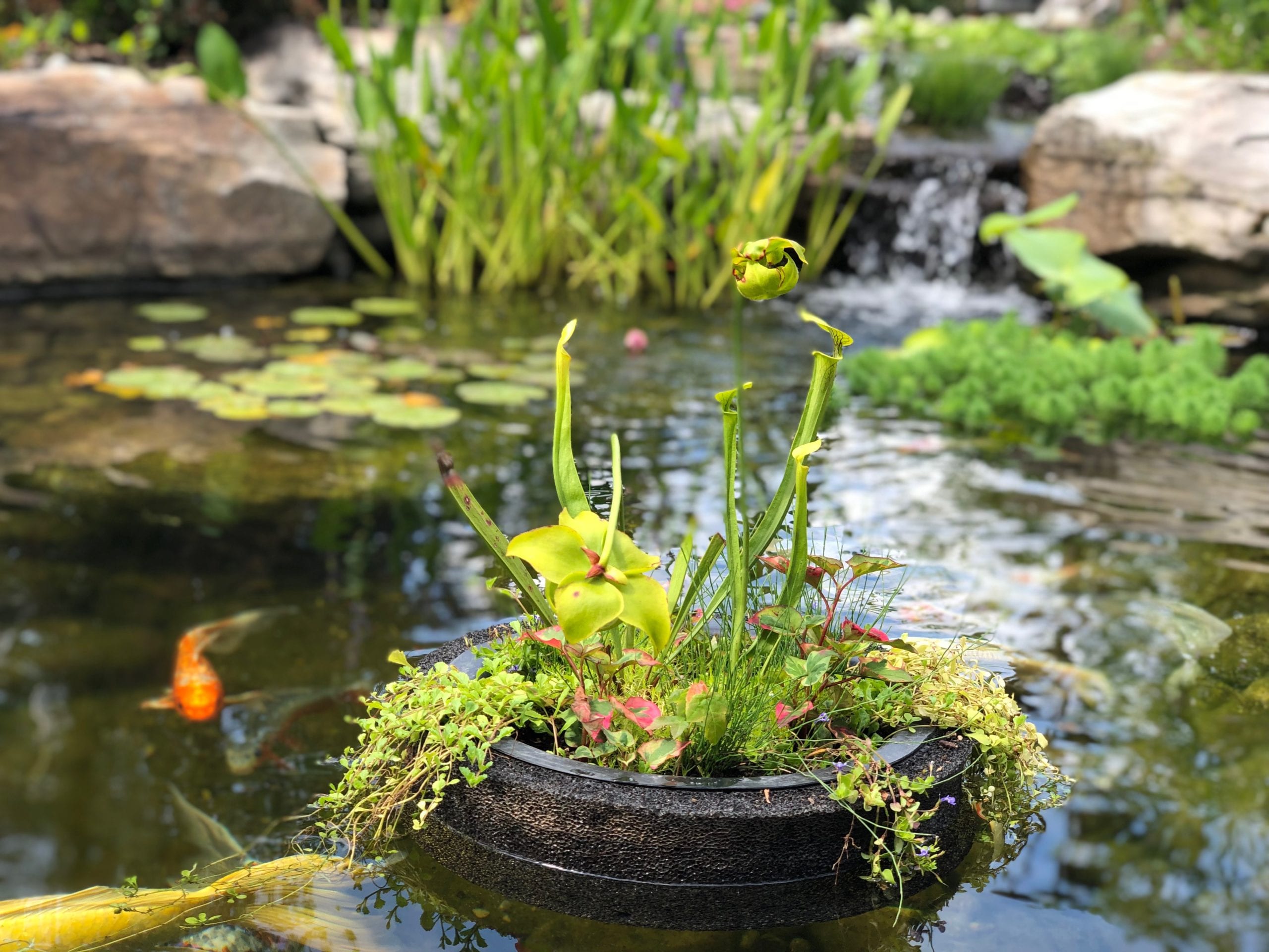 Is Asgard A floating island?