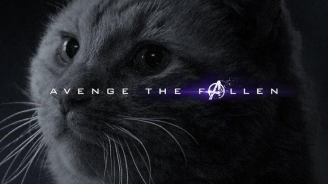 Is Goose an Endgame?