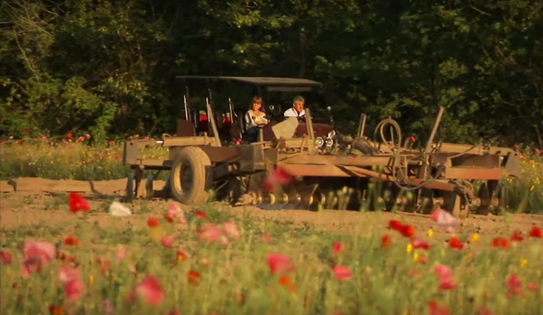 Is far from home worth it?