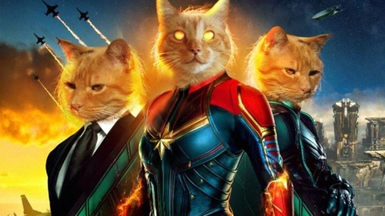 Is the cat in Captain Marvel Loki?