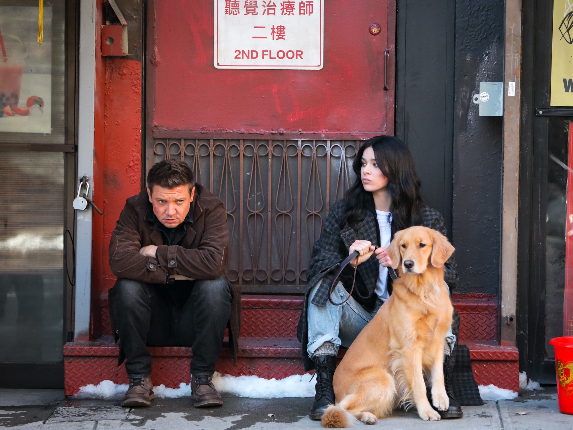 Is the dog in Hawkeye Cosmo?