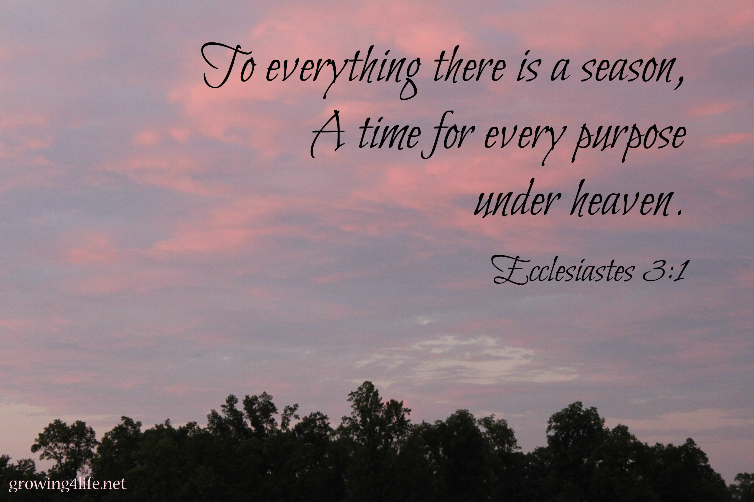 Is there a season 3 of What If?