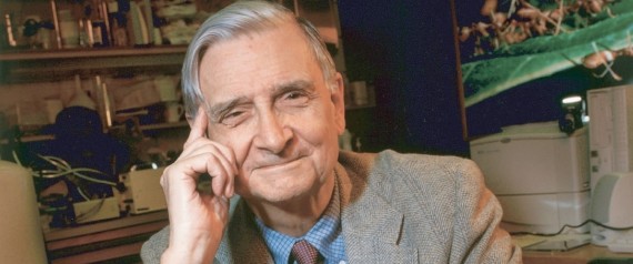 What animal does Sean Carroll study?