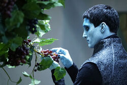 What did Kasius do to Jemma?