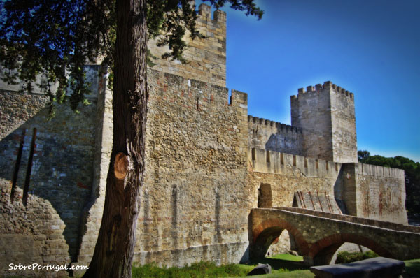 What does Jorge Castillo do?