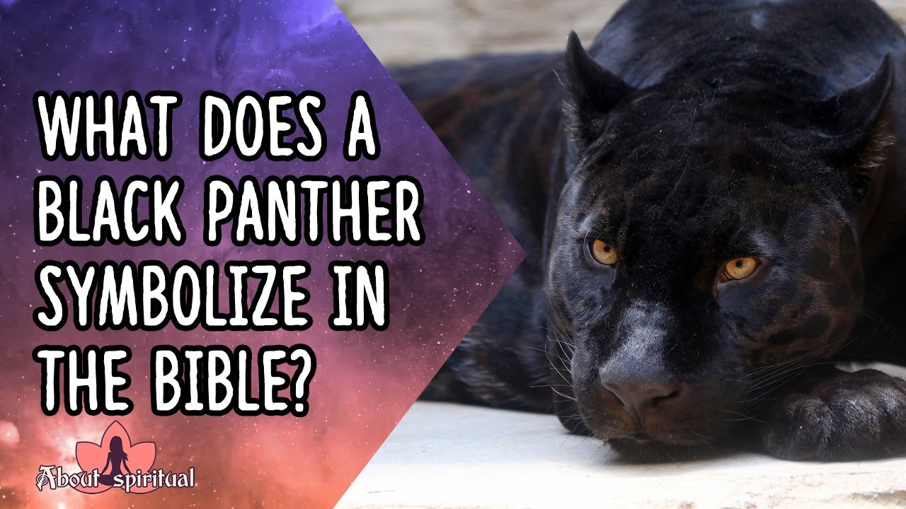 What does Vibranium symbolize in Black Panther?