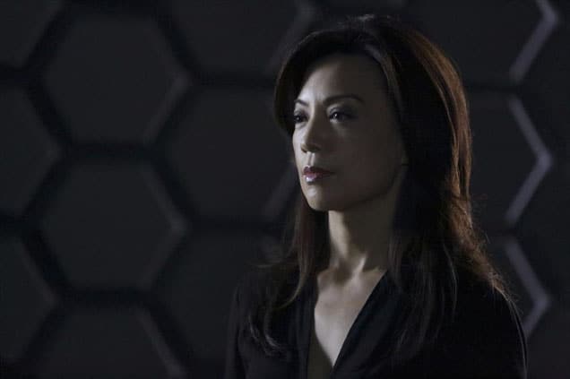 What happens to Skye in Agents of S.H.I.E.L.D. season 1?
