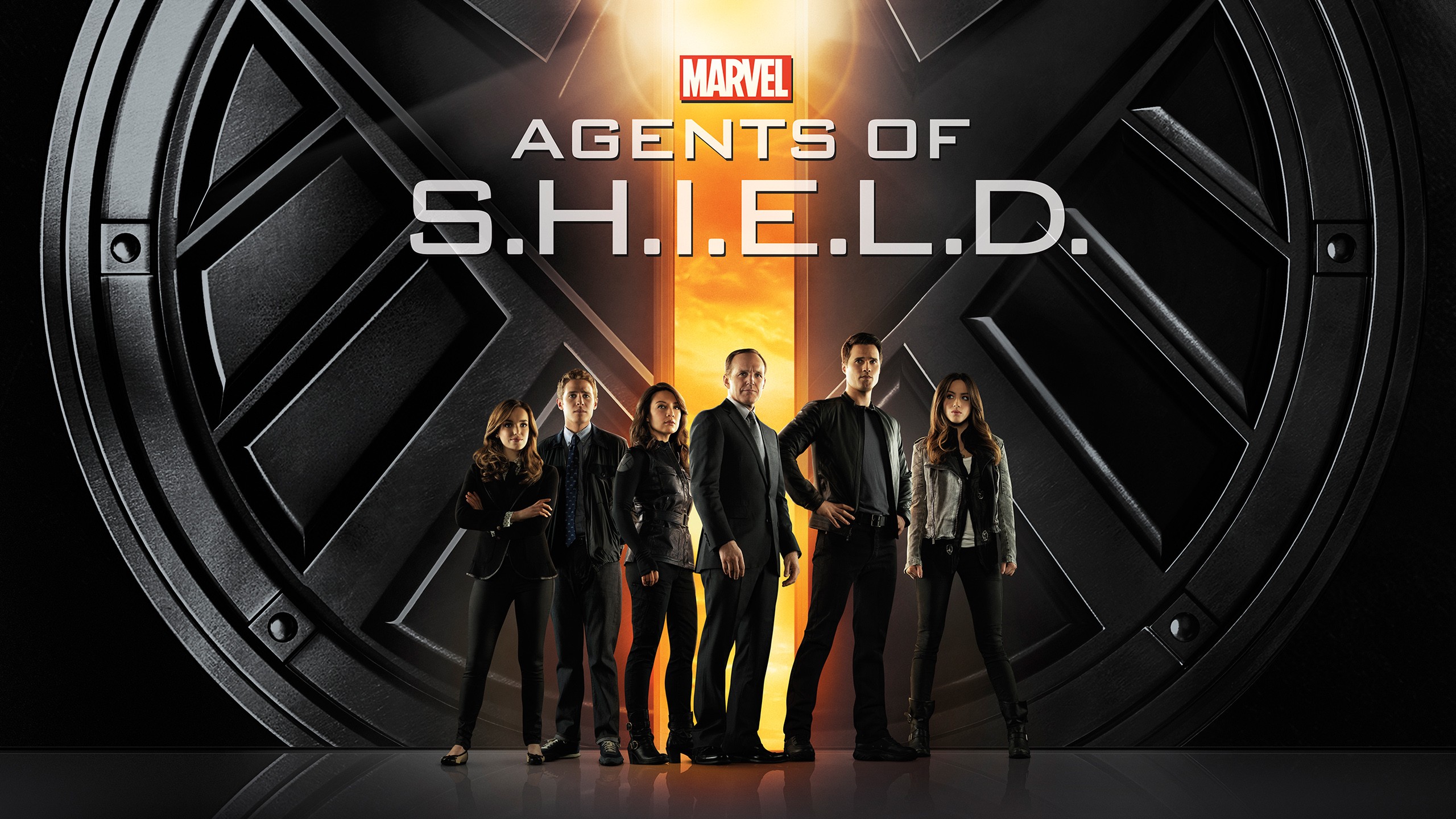 What is S.H.I.E.L.D. in The Avengers?