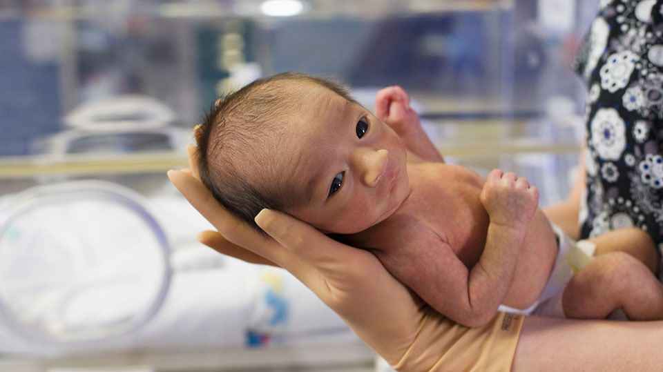 What is a nepotism baby?