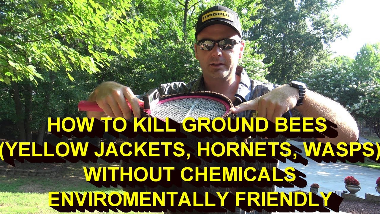 What kills yellow jackets instantly?