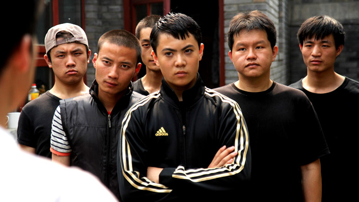 What martial arts does Zhenwei Wang do?