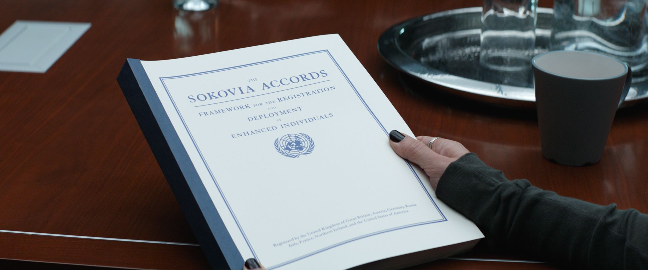 What was the Sokovia accords?