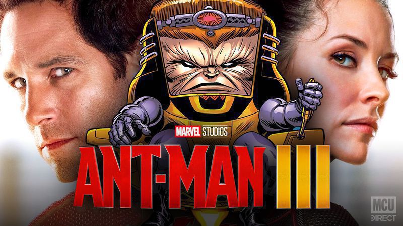 Whats included in MCU?