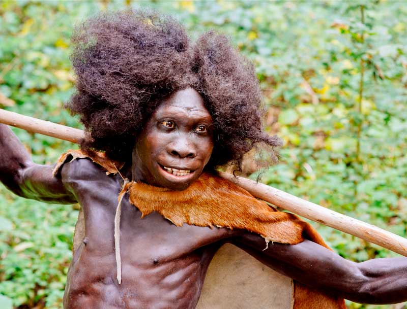 When did the first Mantis appear?